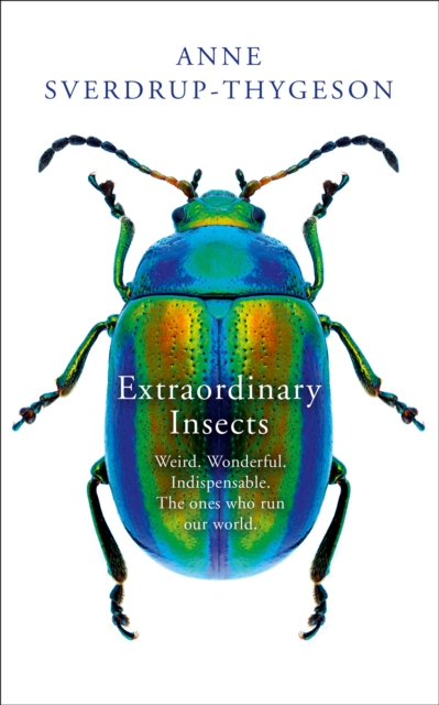 EXTRAORDINARY INSECTS