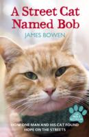 A STREET CAT NAMED BOB : HOW ONE MAN AND HIS CAT FOUND HOPE ON THE STREETS