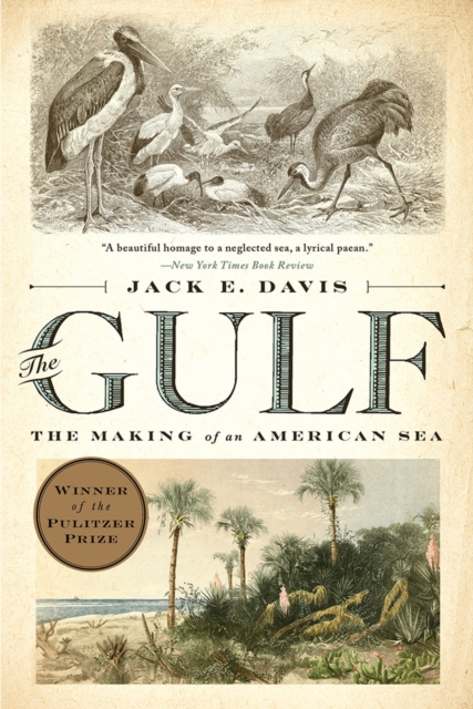 THE GULF : THE MAKING OF AN AMERICAN SEA