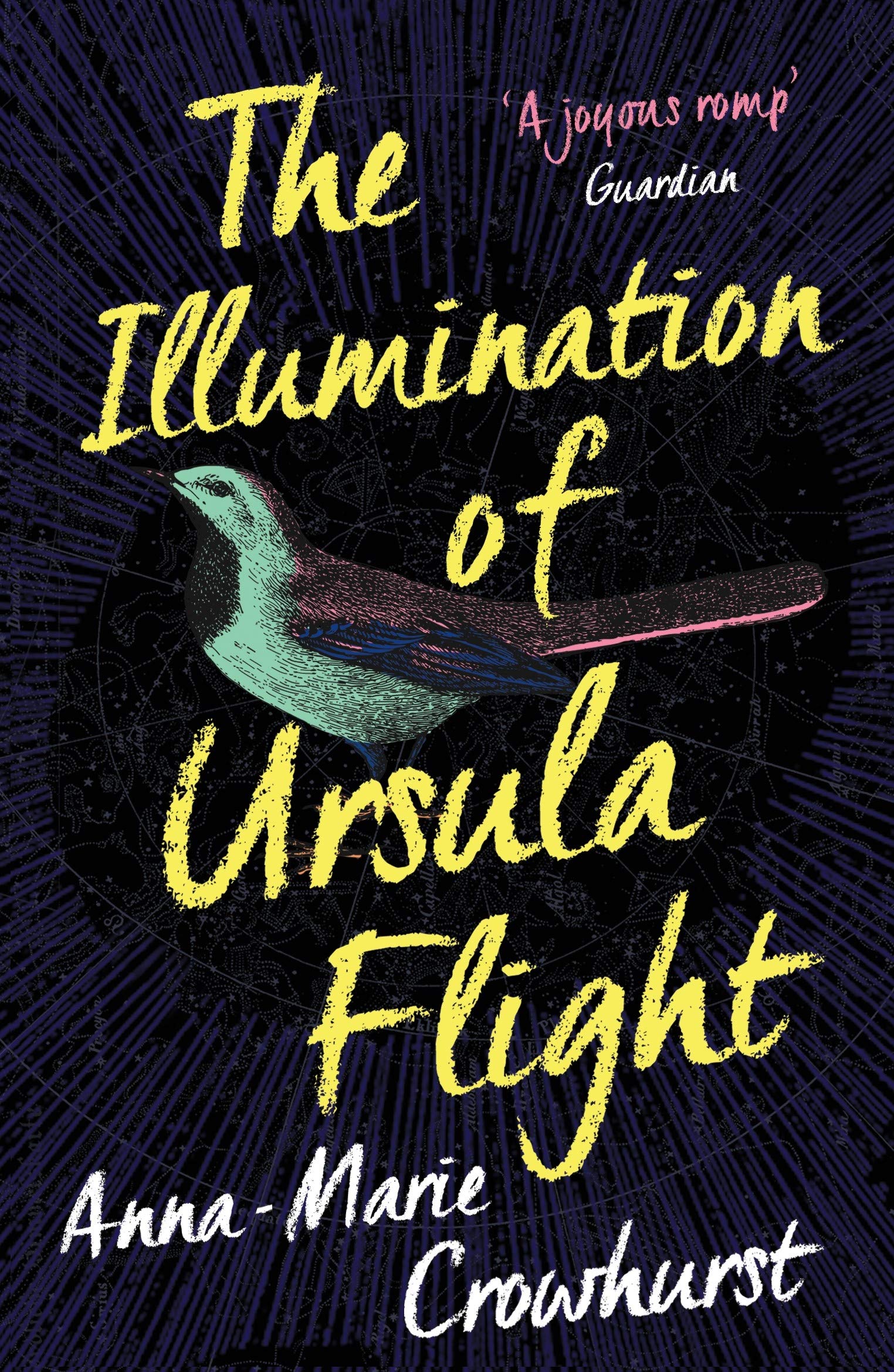 THE ILLUMINATION OF URSULA FLIGHT