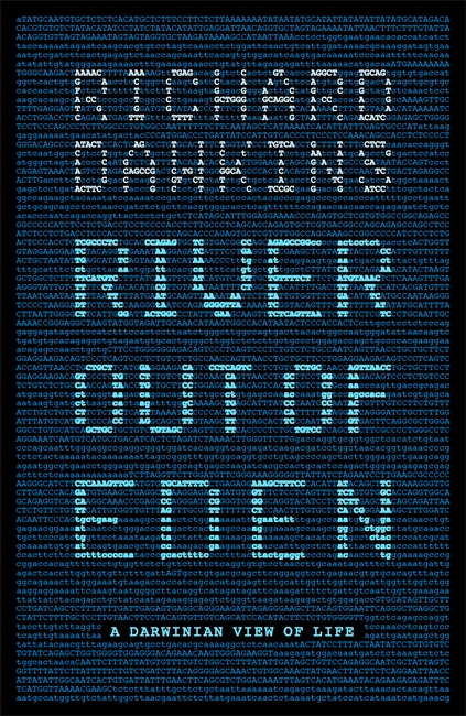 RIVER OUT OF EDEN : A DARWINIAN VIEW OF LIFE