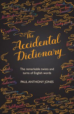 THE ACCIDENTAL DICTIONARY : THE REMARKABLE TWISTS AND TURNS OF ENGLISH WORDS
