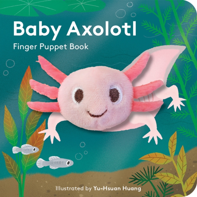 BABY AXOLOTL