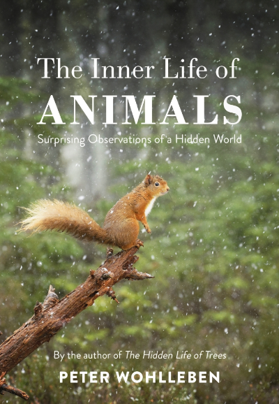 THE INNER LIFE OF ANIMALS : SURPRISING OBSERVATIONS OF A HIDDEN WORLD